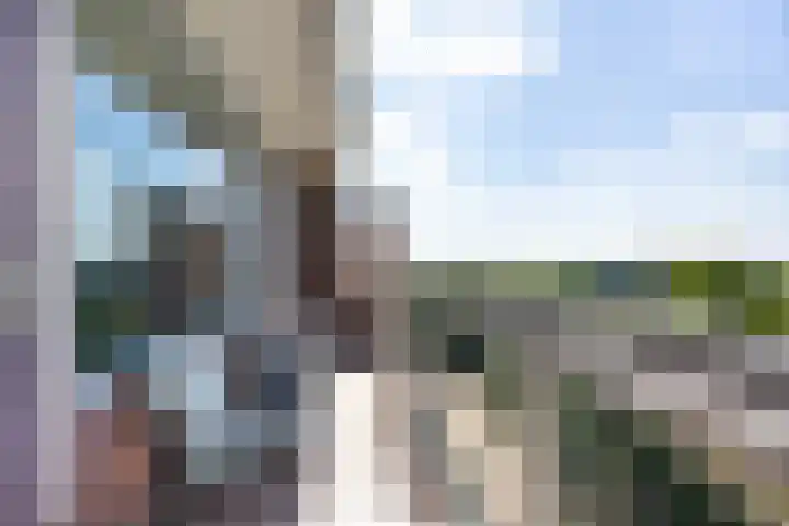Laan van Berlijn 92 Haarlem thumbnail 6