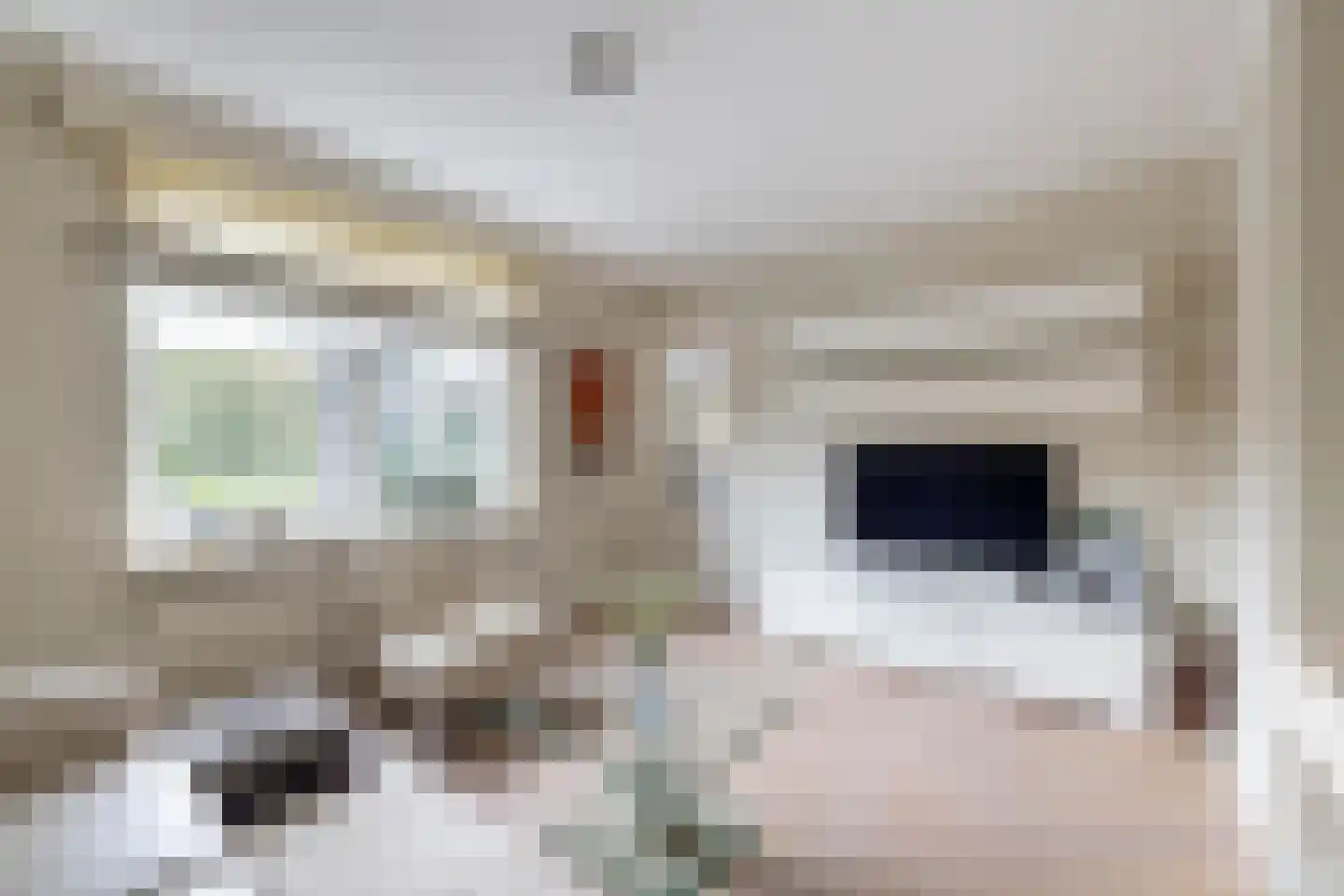 Laan van Biel 5 Almelo thumbnail 13
