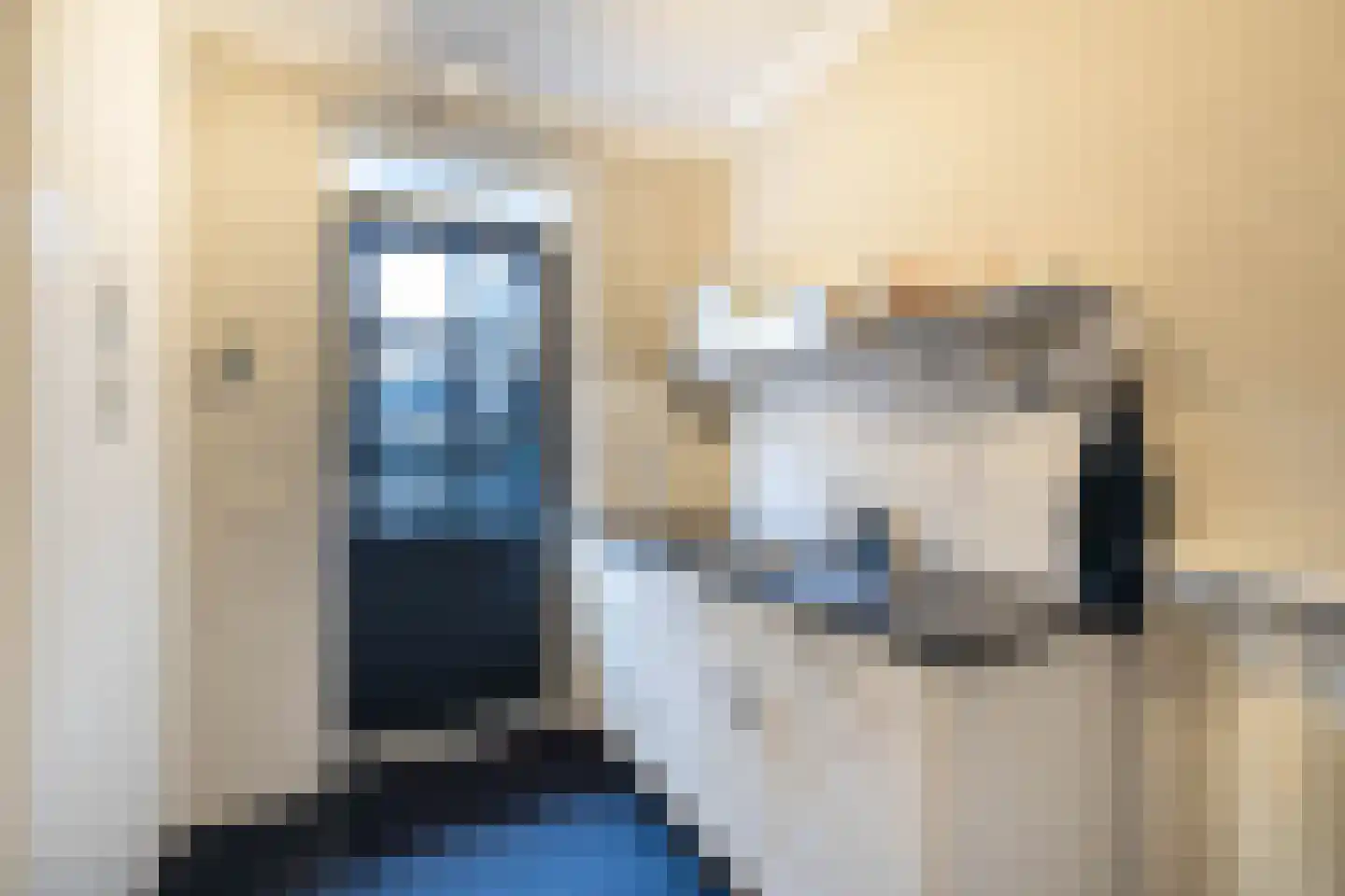 Laan van Biel 5 Almelo thumbnail 15