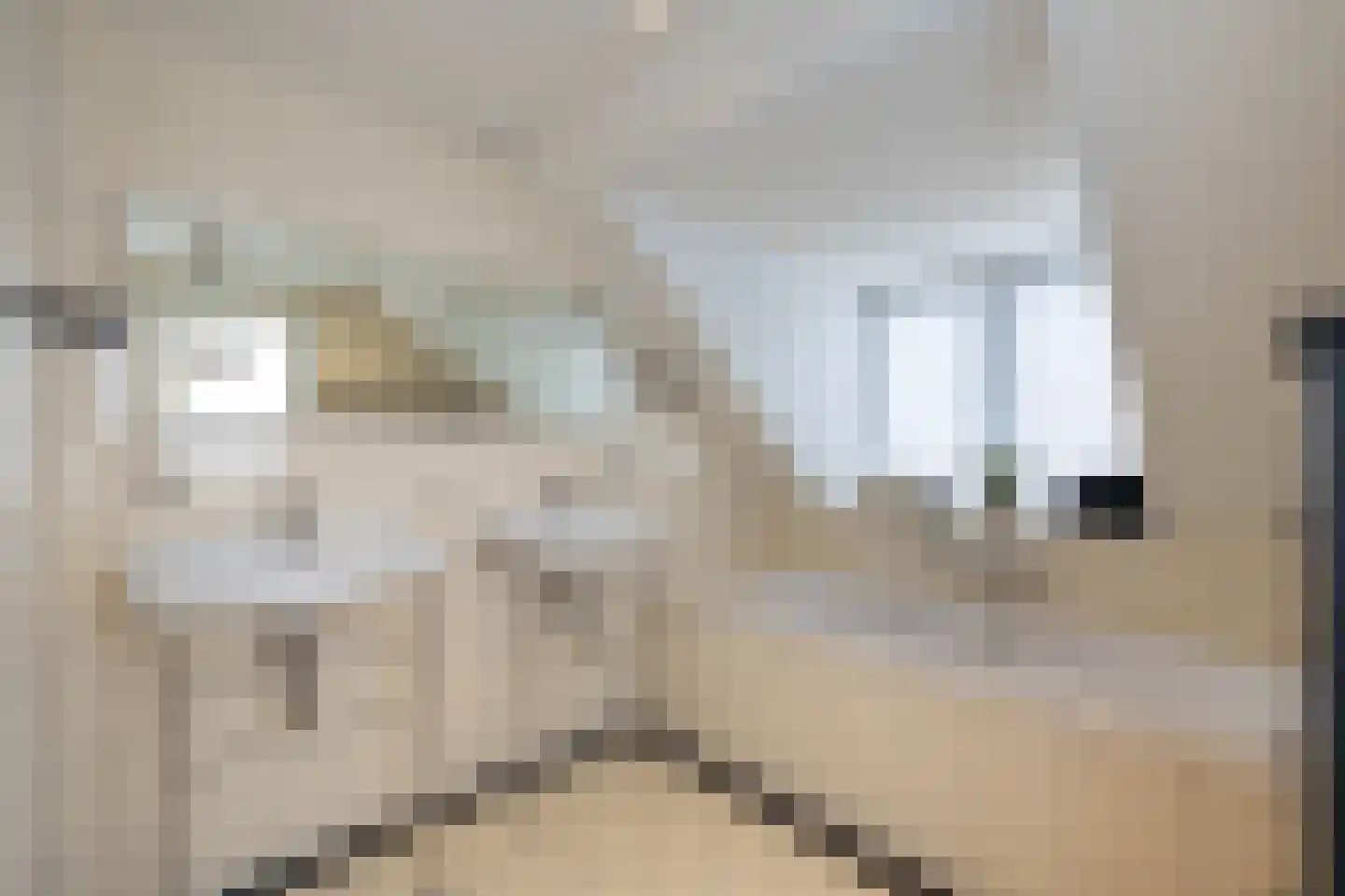 Laan van Biel 5 Almelo thumbnail 17