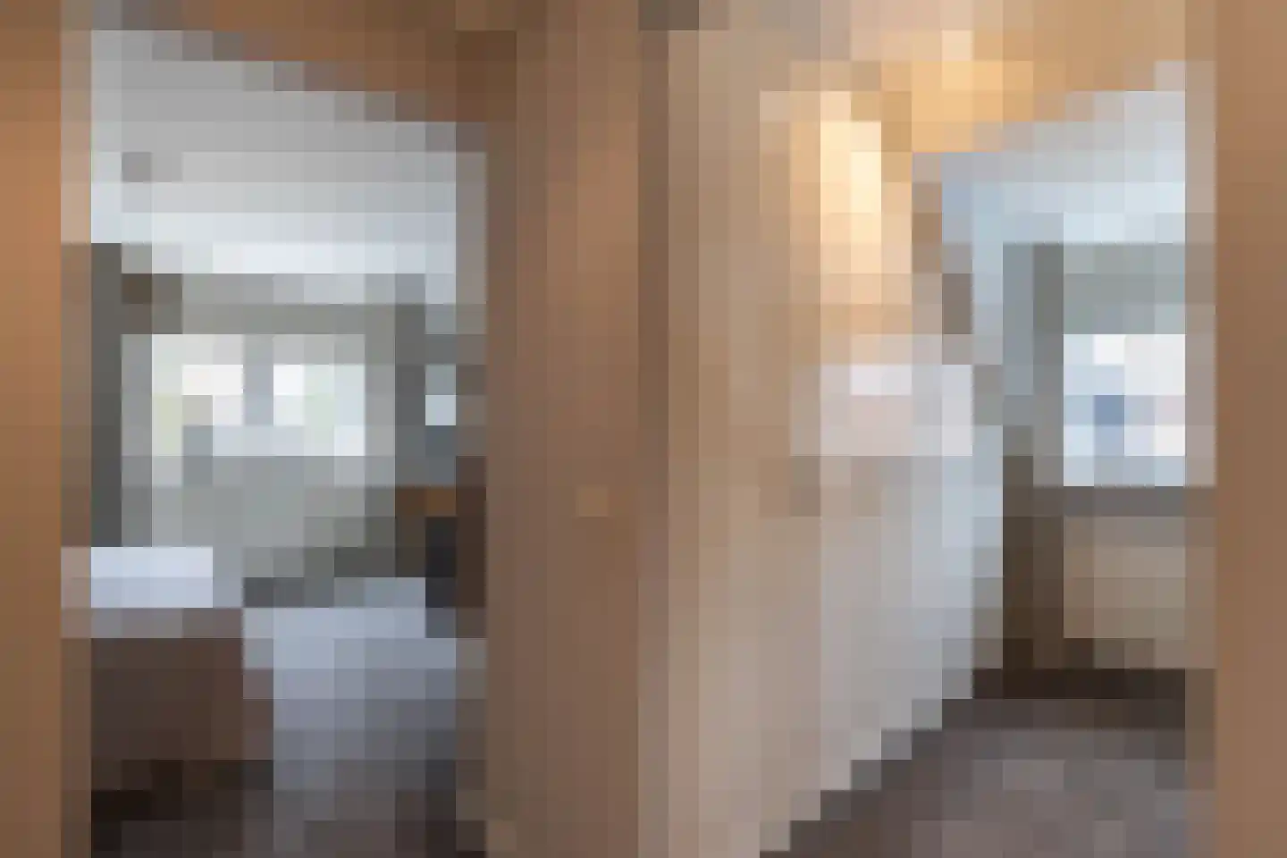 Laan van Biel 5 Almelo thumbnail 21