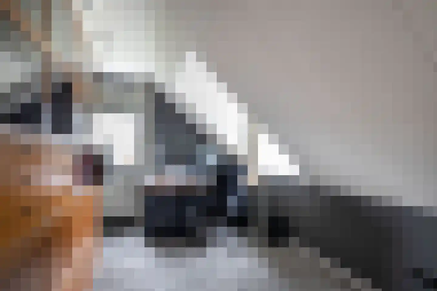 Laan van Biel 5 Almelo thumbnail 22
