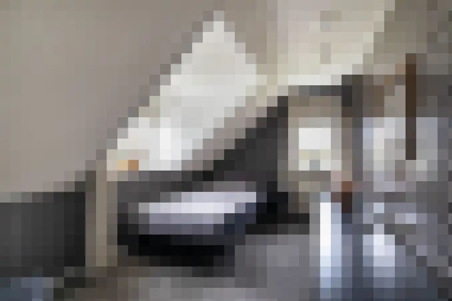 Laan van Biel 5 Almelo thumbnail 23