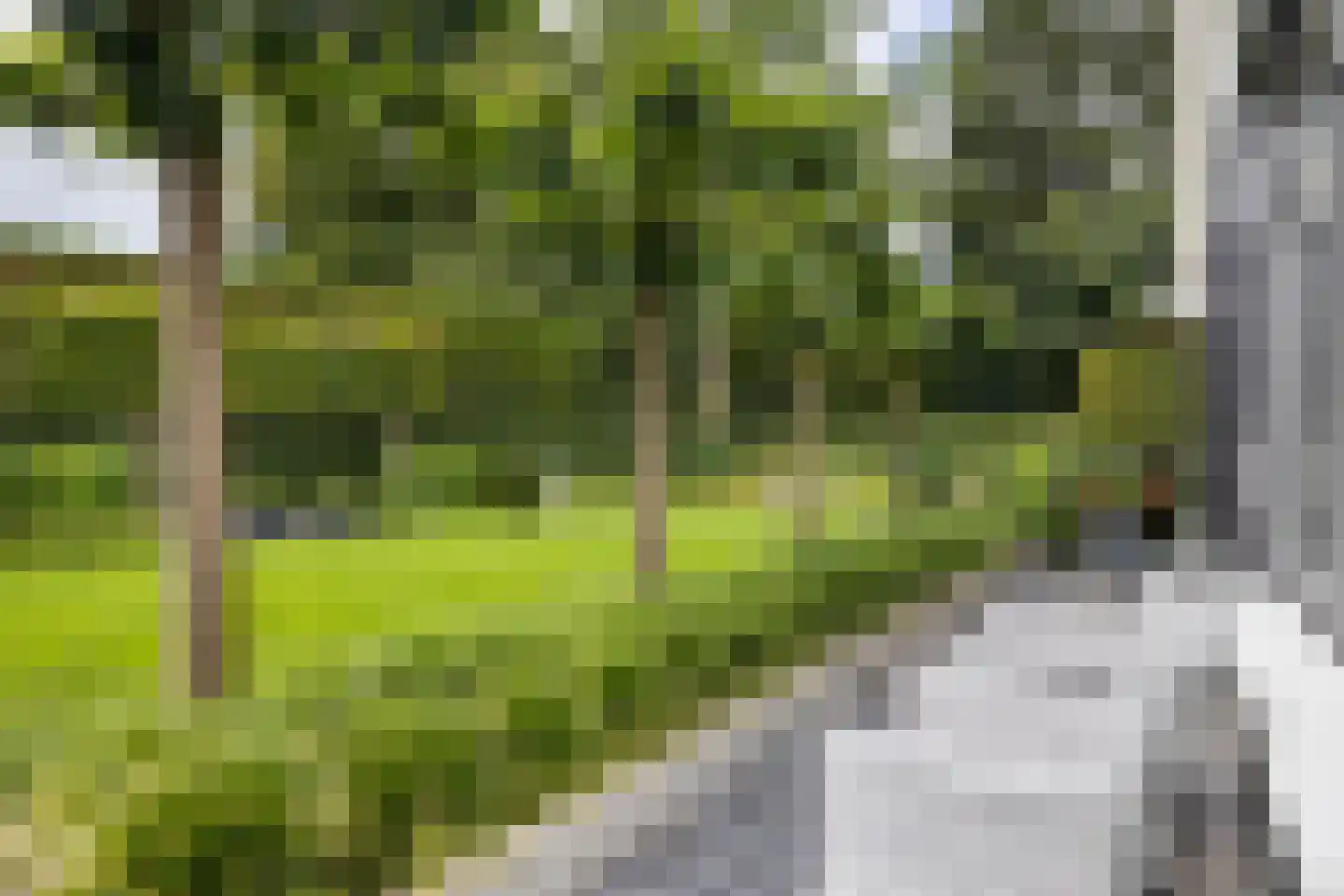 Laan van Biel 5 Almelo thumbnail 26