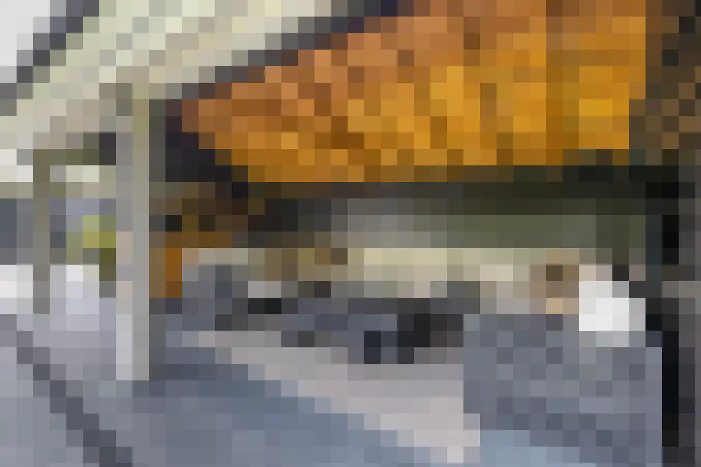 Laan van Biel 5 Almelo thumbnail 32