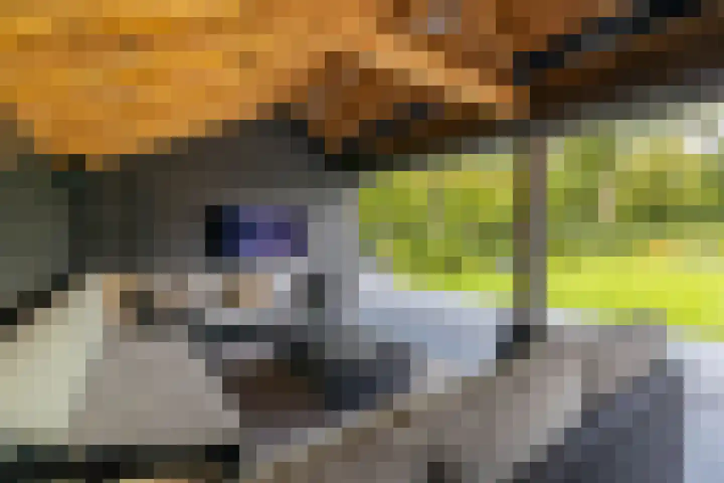 Laan van Biel 5 Almelo thumbnail 33