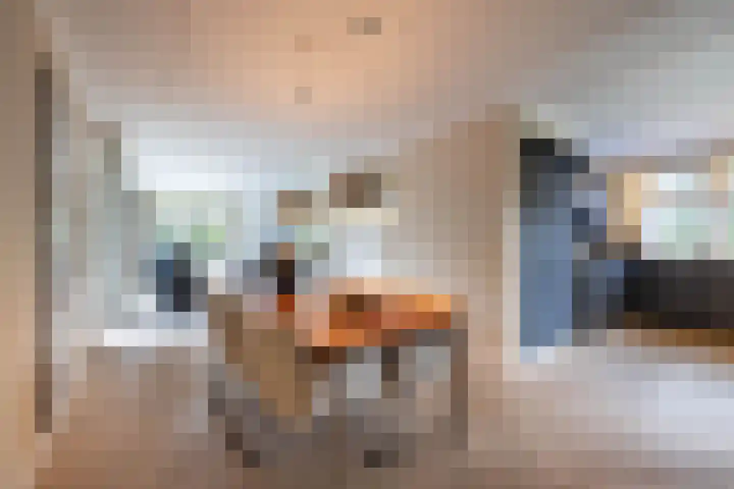 Laan van Biel 5 Almelo thumbnail 4
