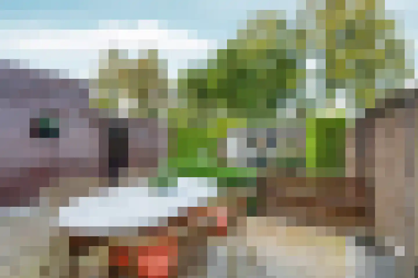Laan van Binnenrust 10 Abcoude thumbnail 28