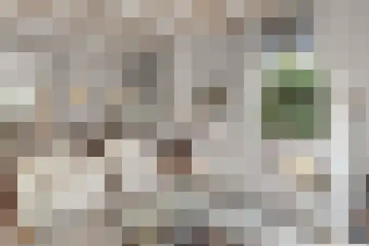Laan van Binnenrust 21 Abcoude thumbnail 11
