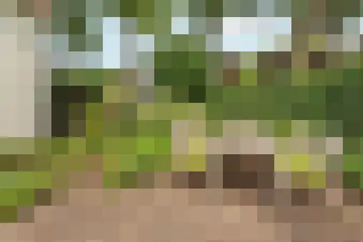 Laan van Binnenrust 21 Abcoude thumbnail 31