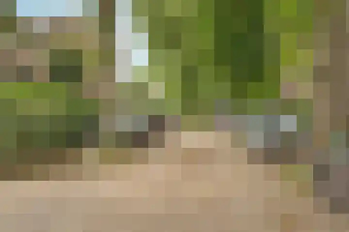 Laan van Binnenrust 21 Abcoude thumbnail 34