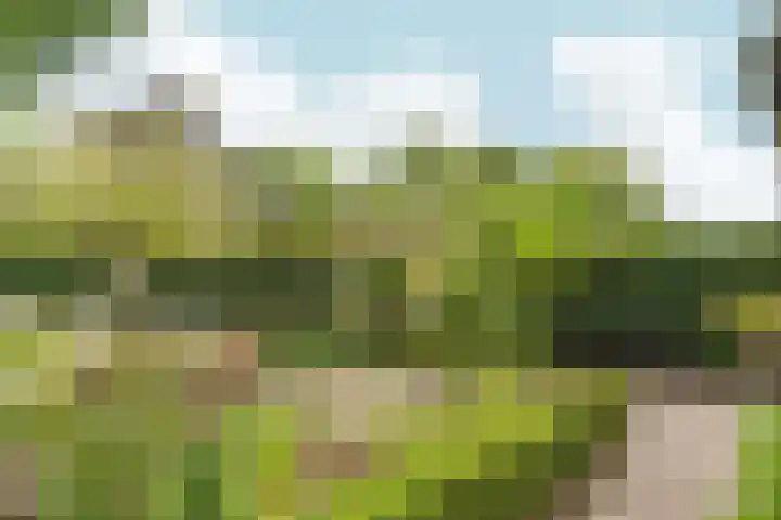 Laan van Binnenrust 21 Abcoude thumbnail 4