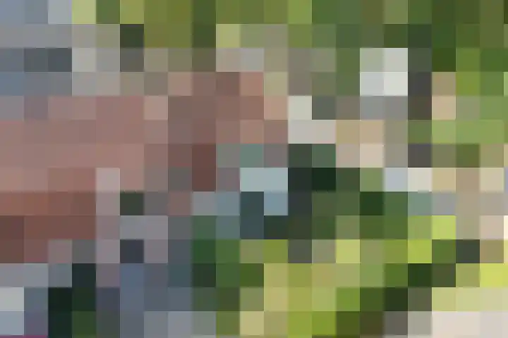 Laan van Binnenrust 21 Abcoude thumbnail 5