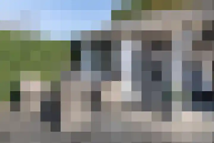 Laan van Bizet 19 Nieuw-Vennep thumbnail 24