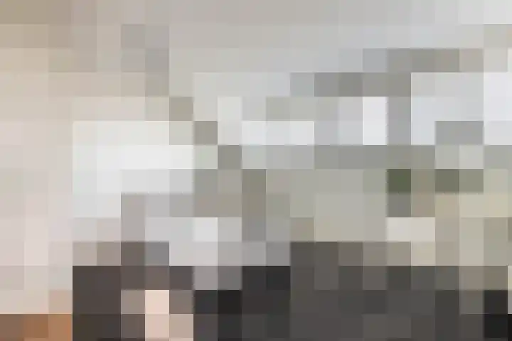 Laan van Bizet 19 Nieuw-Vennep thumbnail 41