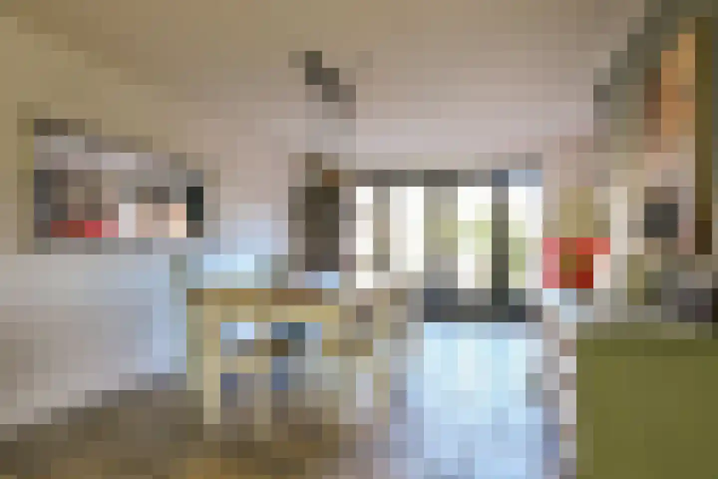 Laan van Bizet 33 Nieuw-Vennep thumbnail 13