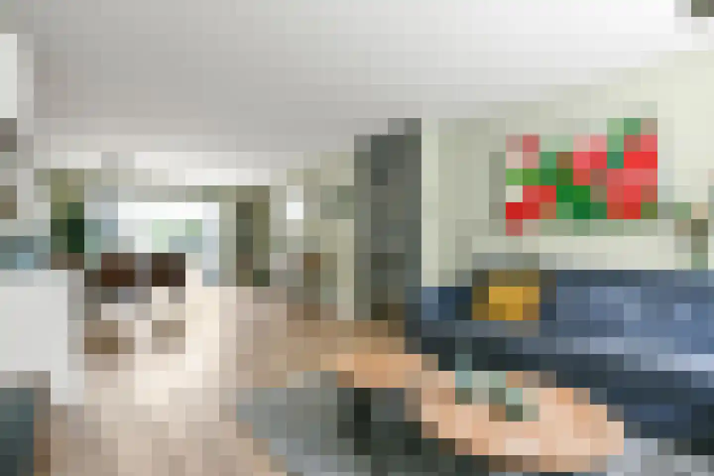 Laan van Bizet 9 Nieuw-Vennep thumbnail 12