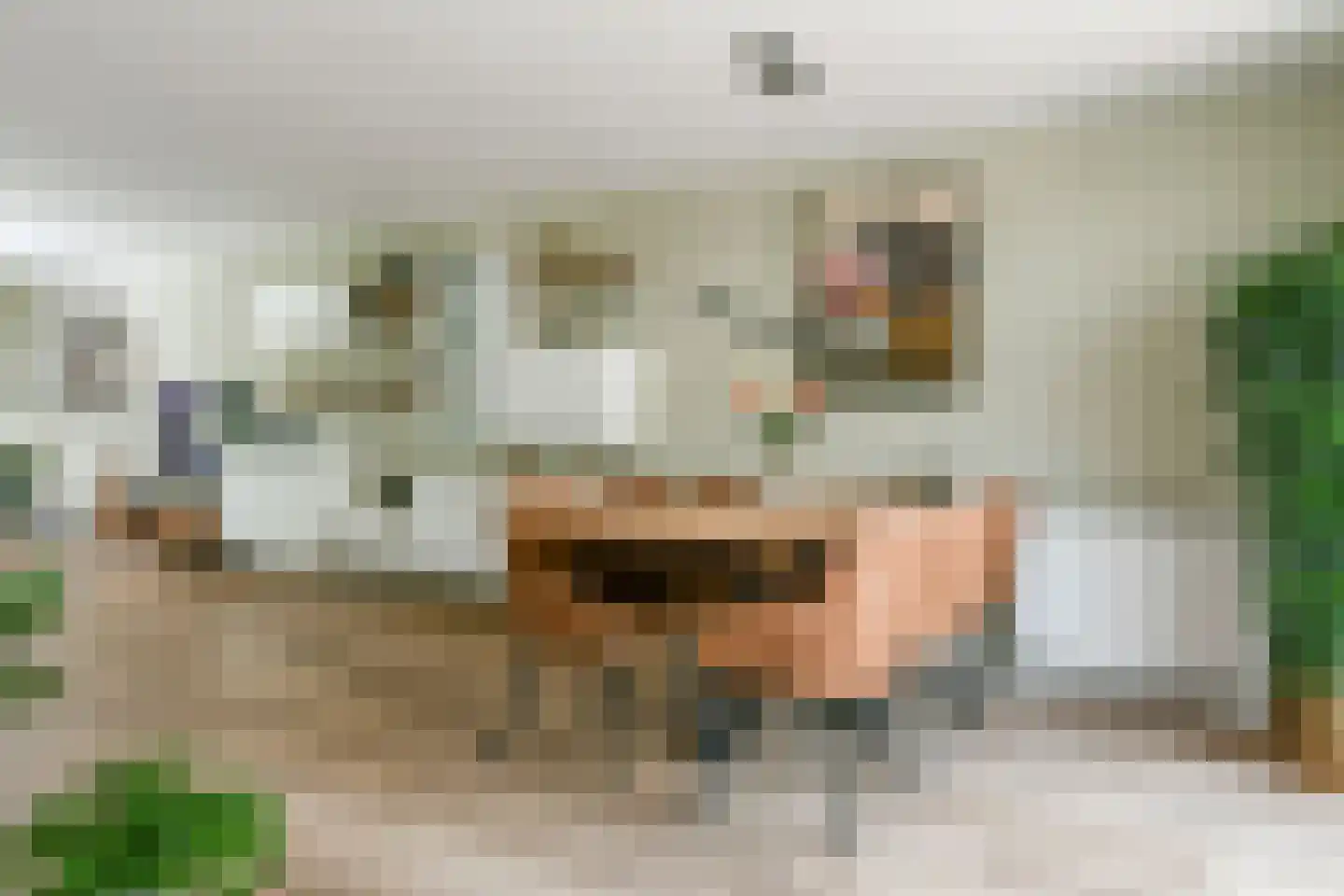 Laan van Bizet 9 Nieuw-Vennep thumbnail 18
