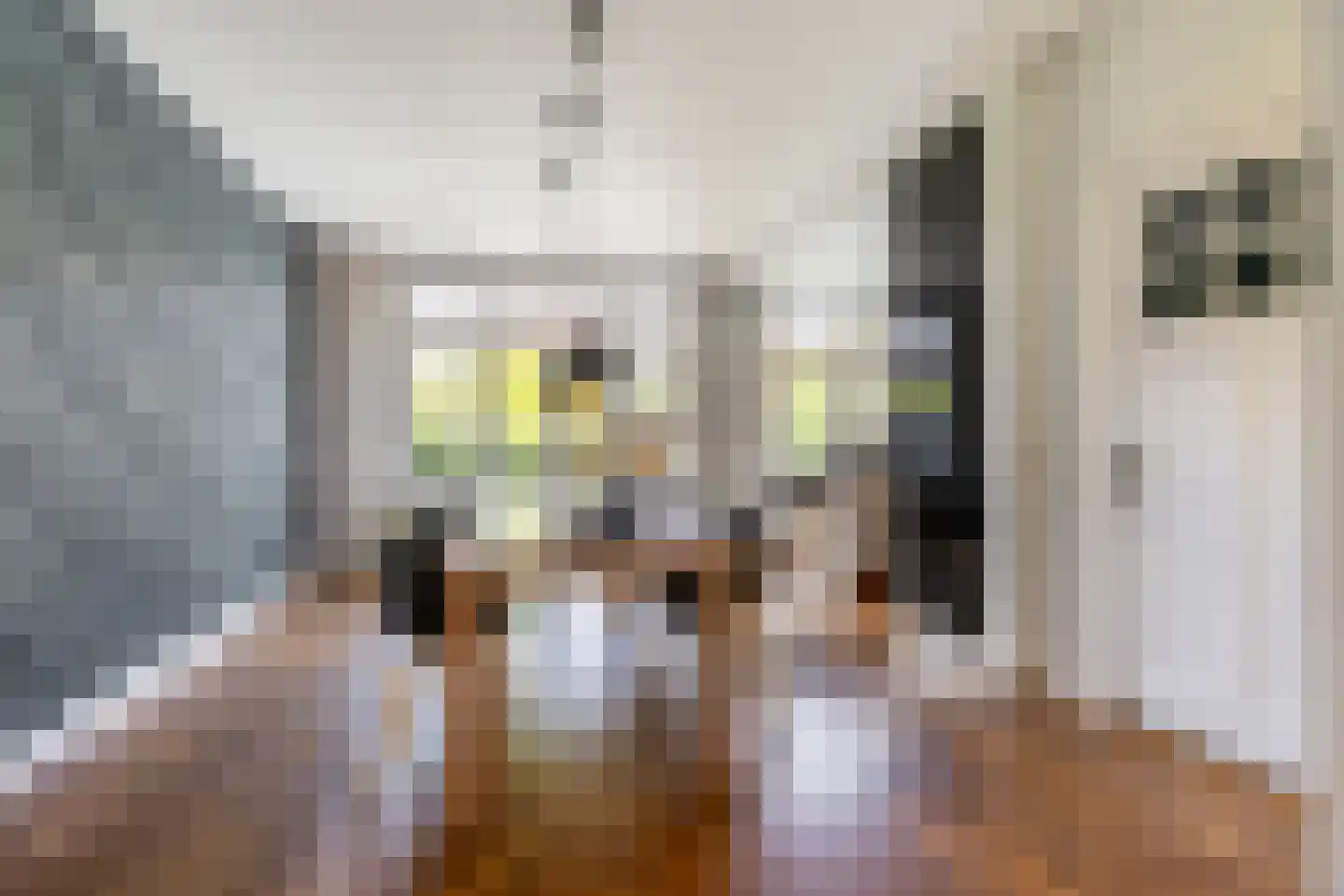Laan van Bloemenhove 3 Heemstede thumbnail 10
