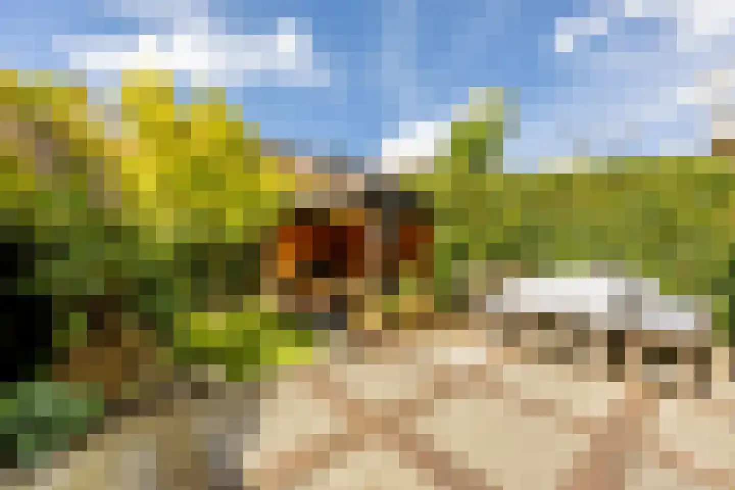 Laan van Bloemenhove 3 Heemstede thumbnail 12