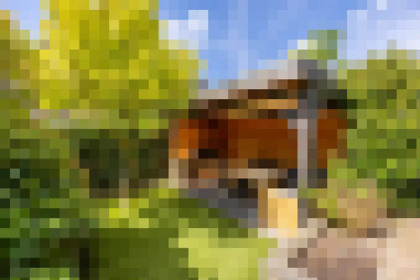 Laan van Bloemenhove 3 Heemstede thumbnail 13