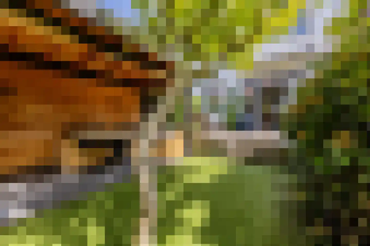 Laan van Bloemenhove 3 Heemstede thumbnail 14