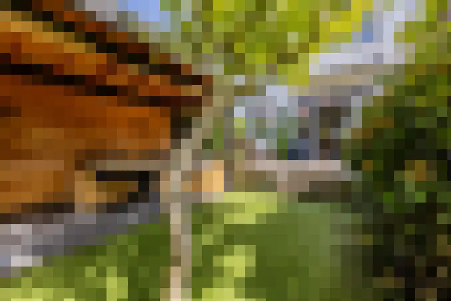 Laan van Bloemenhove 3 Heemstede thumbnail 14