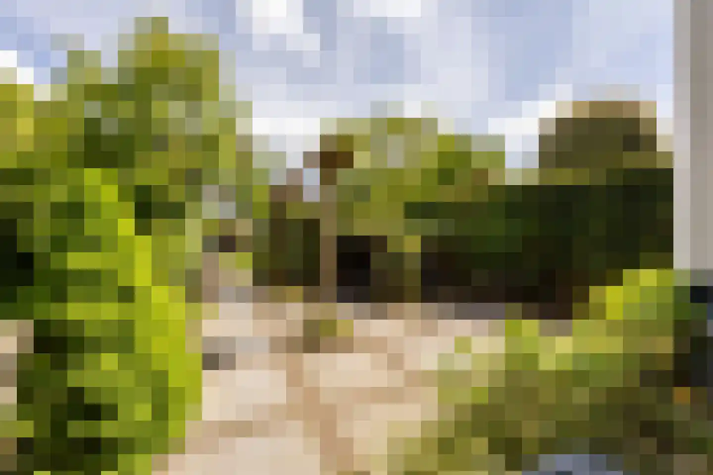 Laan van Bloemenhove 3 Heemstede foto 3