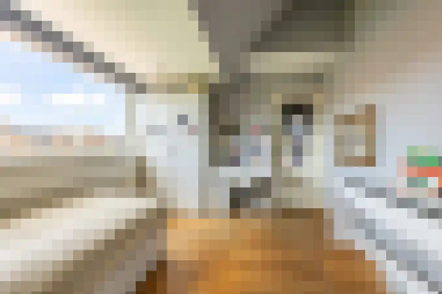 Laan van Bloemenhove 3 Heemstede thumbnail 30