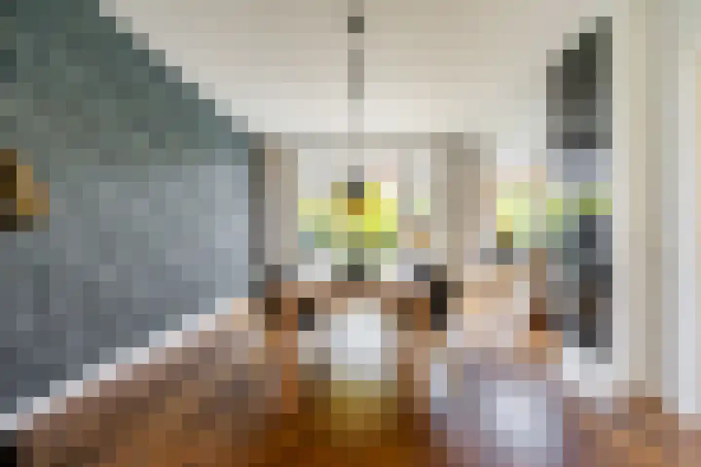 Laan van Bloemenhove 3 Heemstede thumbnail 5