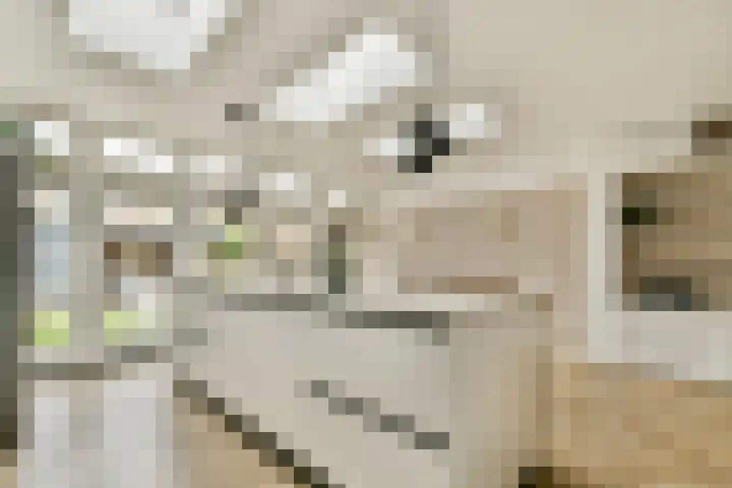 Laan van Bloemenhove 4 Amstelveen thumbnail 10