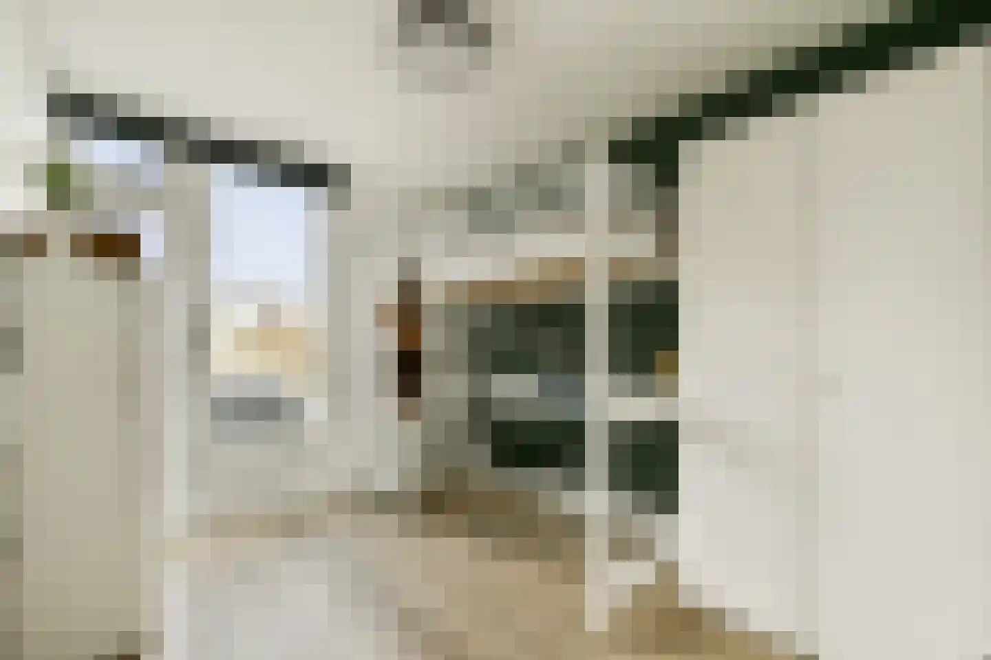 Laan van Bloemenhove 4 Amstelveen thumbnail 20