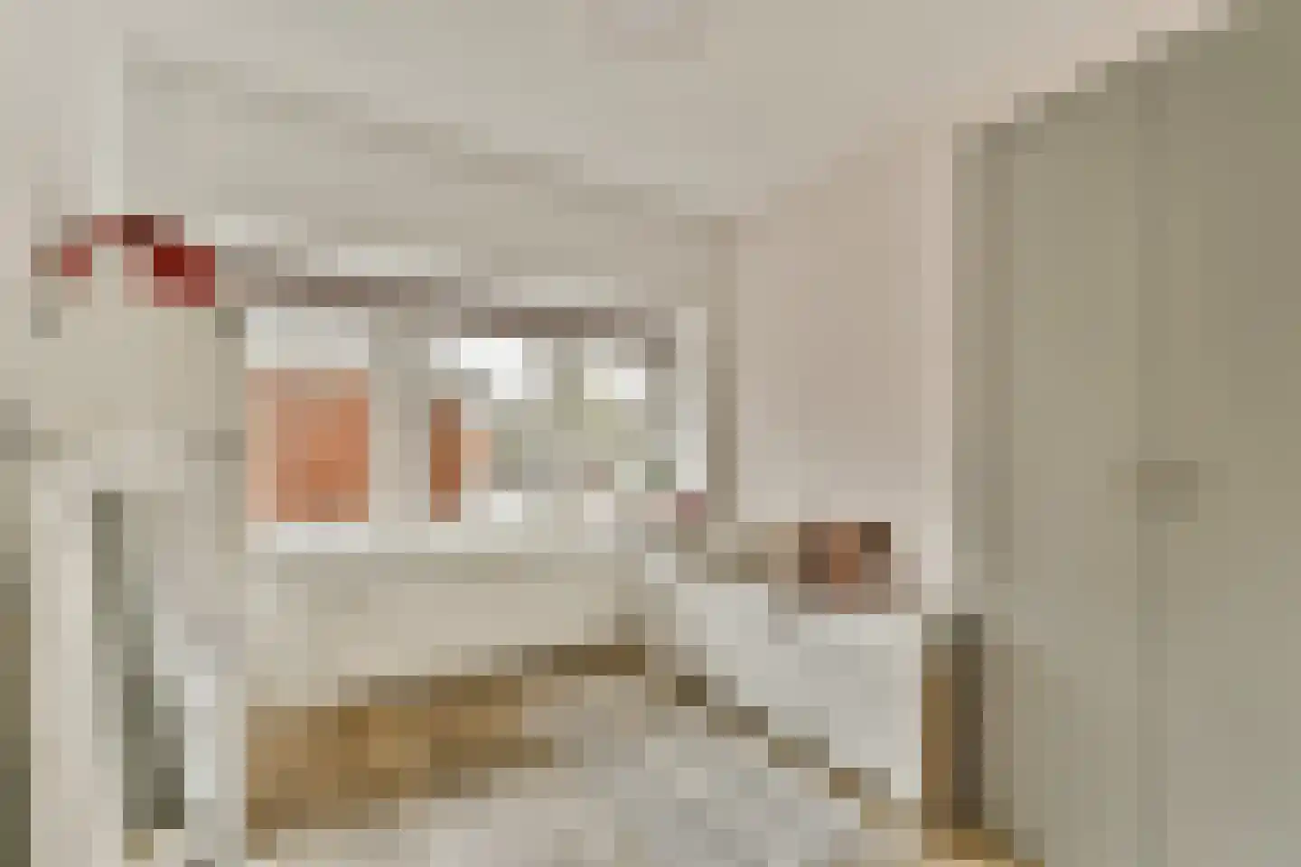 Laan van Bloemenhove 4 Amstelveen thumbnail 22