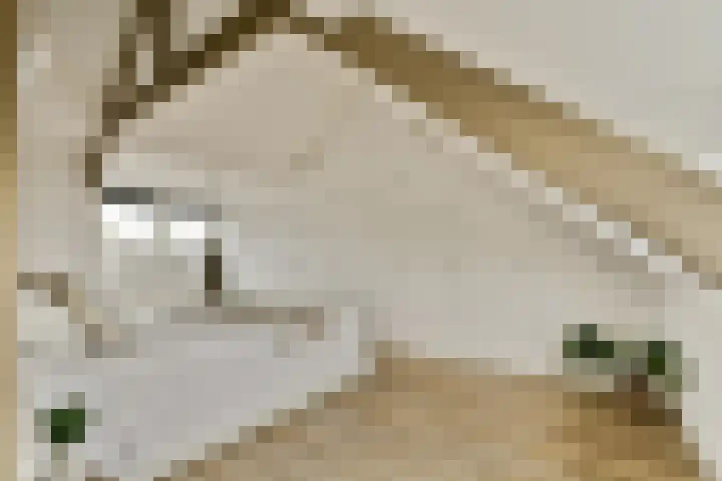 Laan van Bloemenhove 4 Amstelveen thumbnail 28
