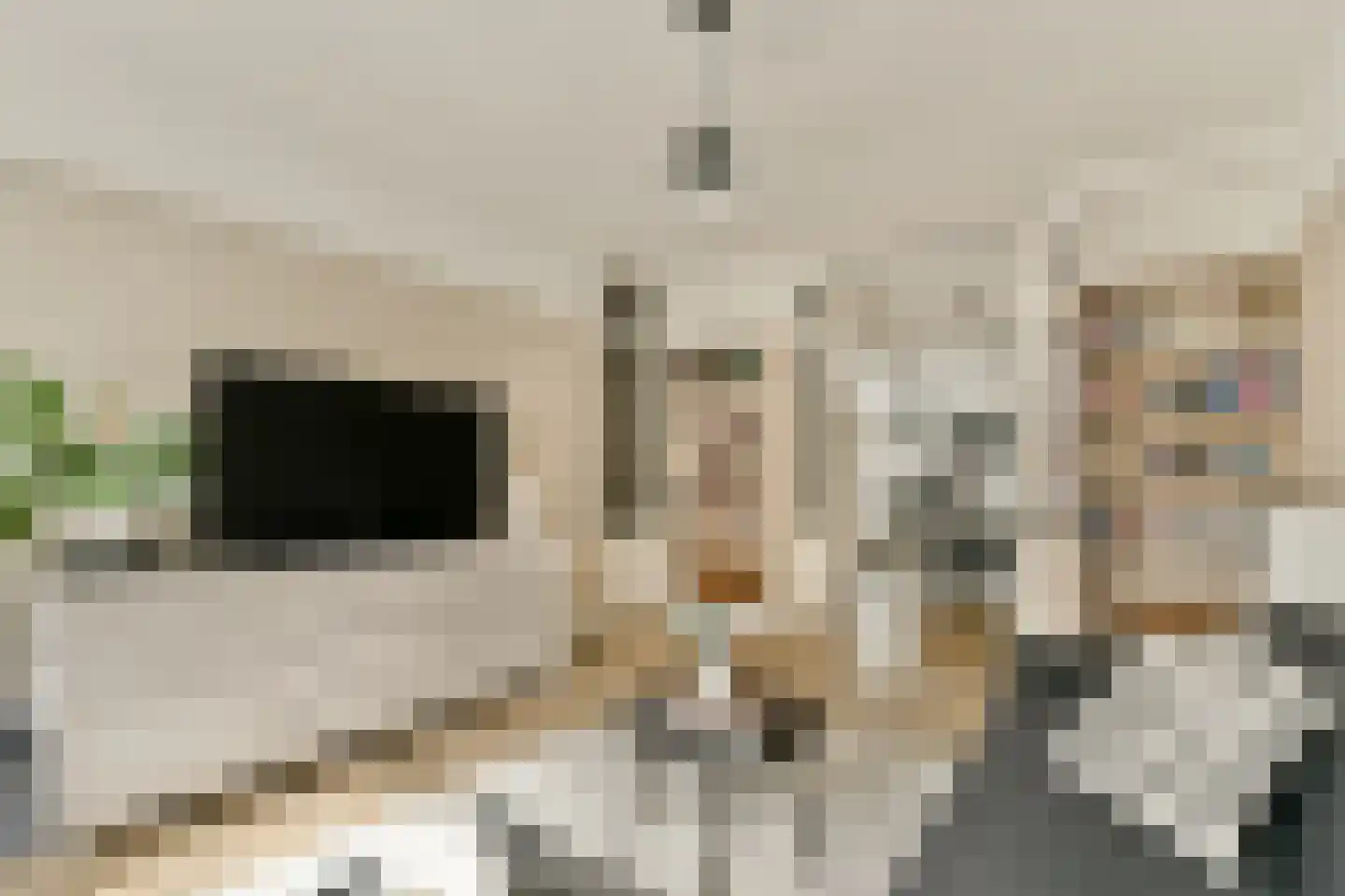 Laan van Bloemenhove 4 Amstelveen thumbnail 4