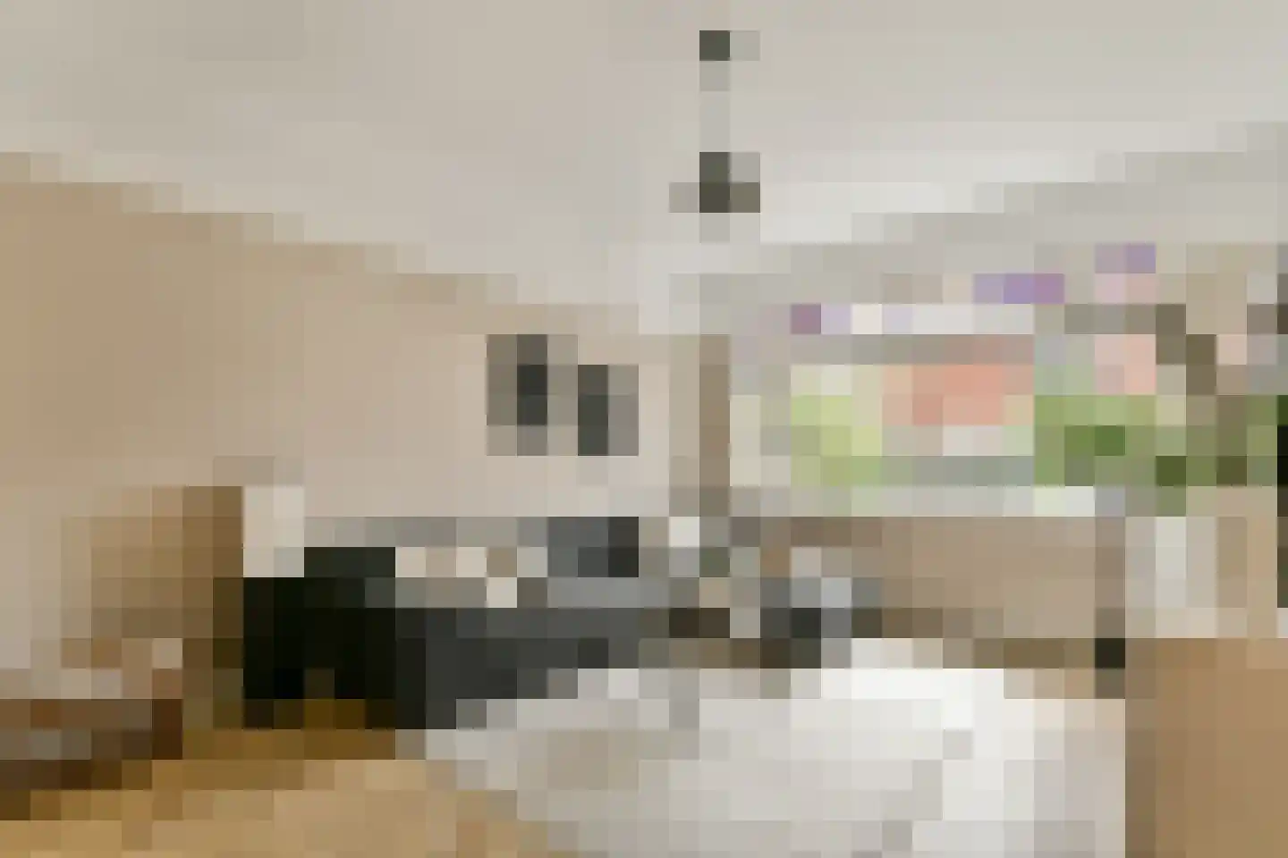 Laan van Bloemenhove 4 Amstelveen thumbnail 6