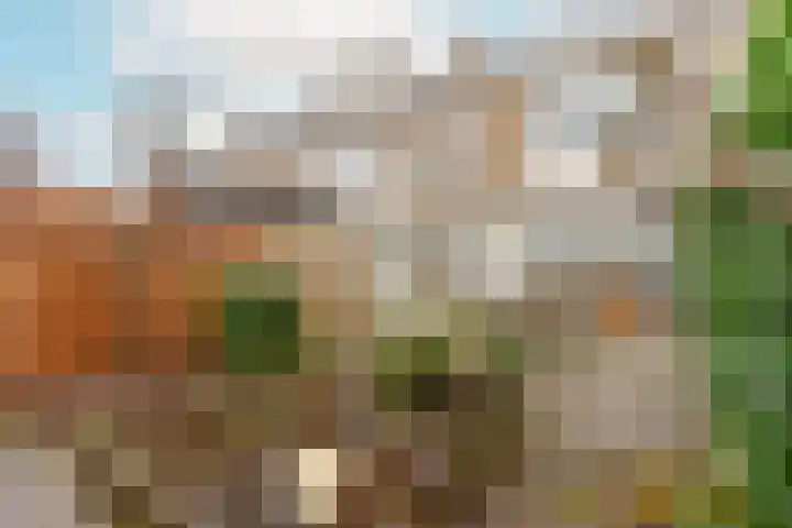 Laan van Blois 118 Beverwijk thumbnail 16