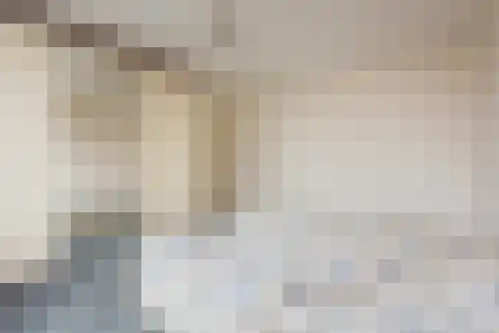 Laan van Blois 118 Beverwijk thumbnail 24
