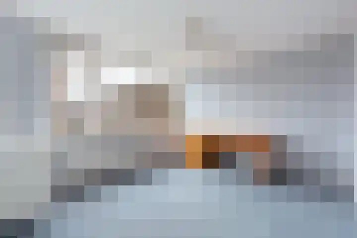Laan van Blois 118 Beverwijk thumbnail 28