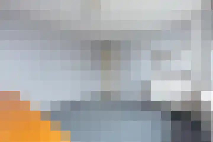 Laan van Blois 118 Beverwijk thumbnail 29