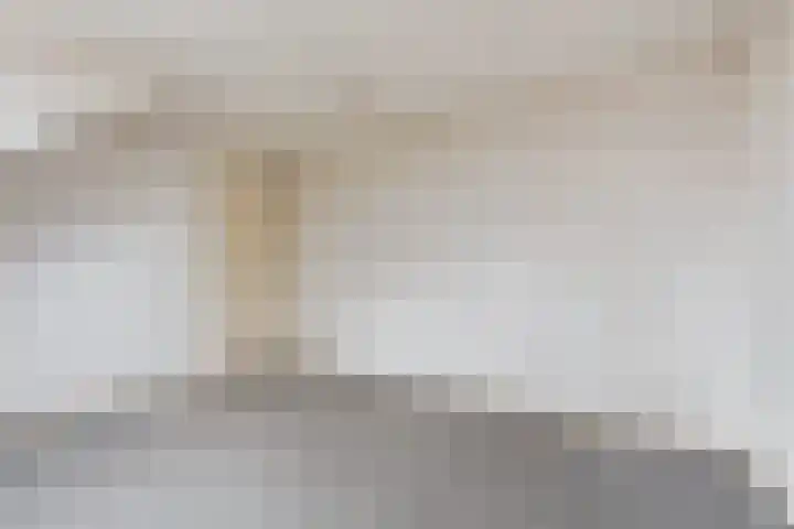 Laan van Blois 118 Beverwijk thumbnail 35