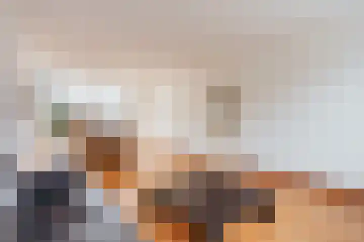 Laan van Blois 118 Beverwijk thumbnail 7