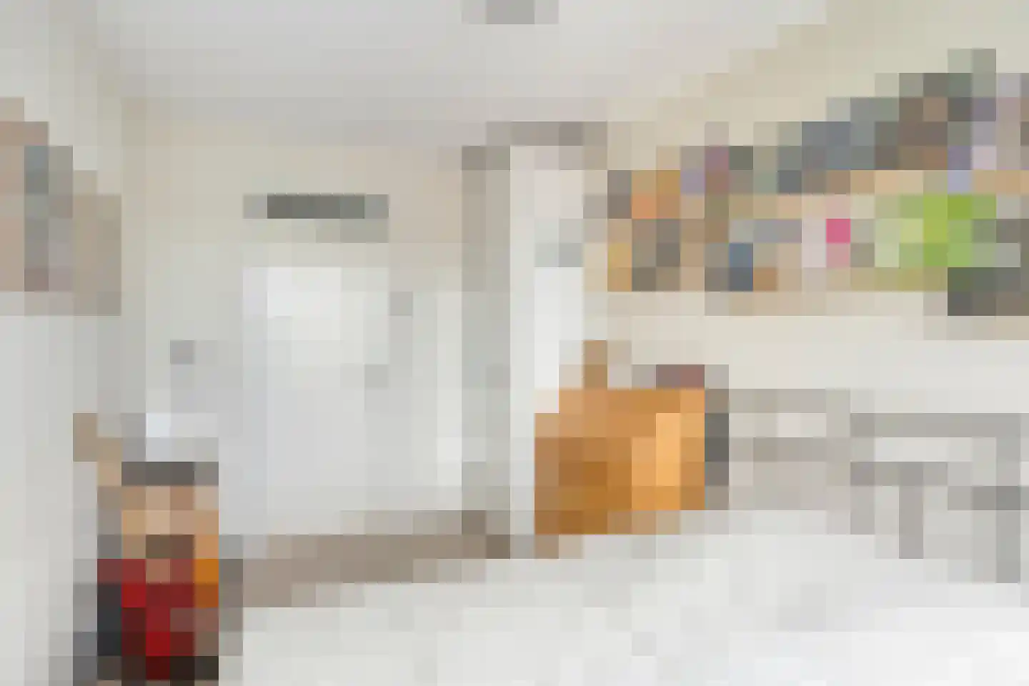 Laan van Blois 16 Beverwijk thumbnail 19