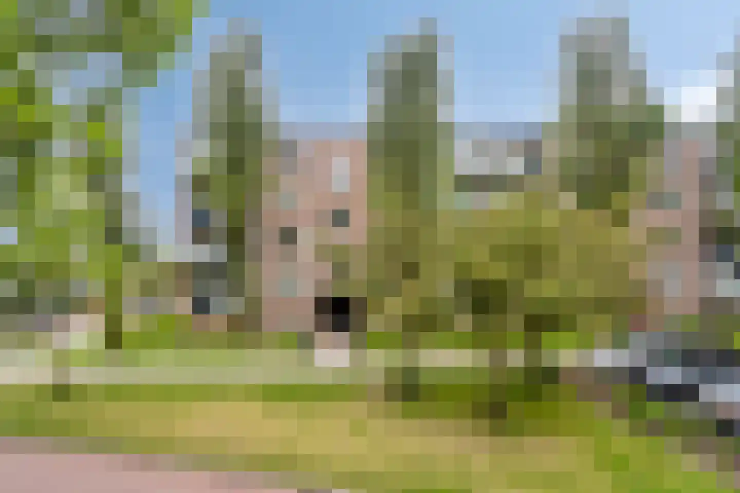 Laan van Blois 16 Beverwijk thumbnail 24