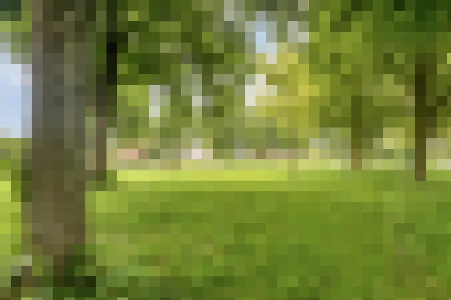 Laan van Blois 16 Beverwijk thumbnail 30
