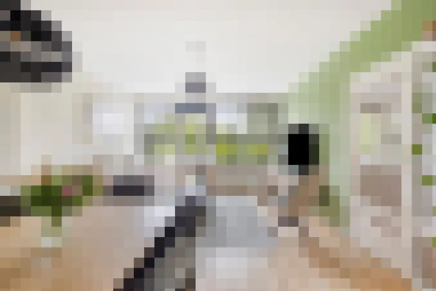Laan van Blois 16 Beverwijk thumbnail 5