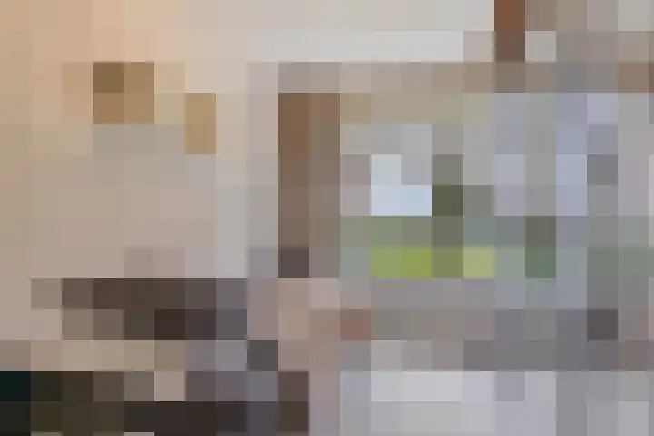 Laan van Blois 26 Beverwijk thumbnail 13