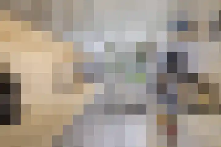 Laan van Blois 26 Beverwijk thumbnail 15
