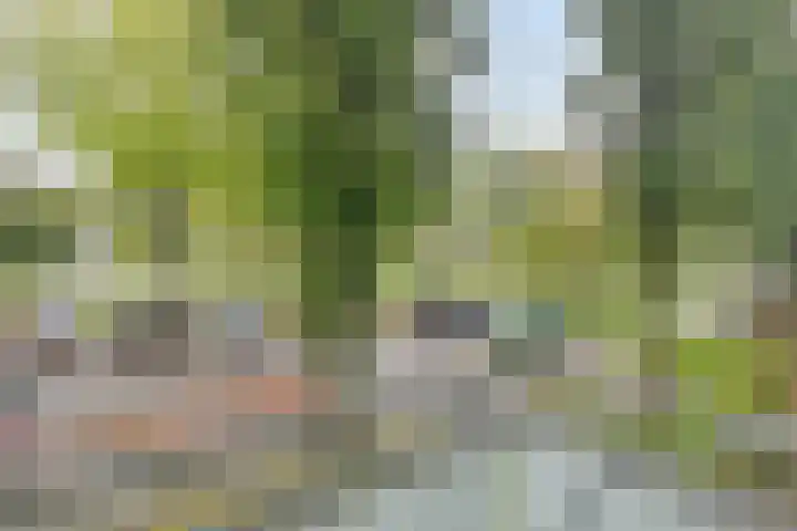 Laan van Blois 26 Beverwijk thumbnail 23