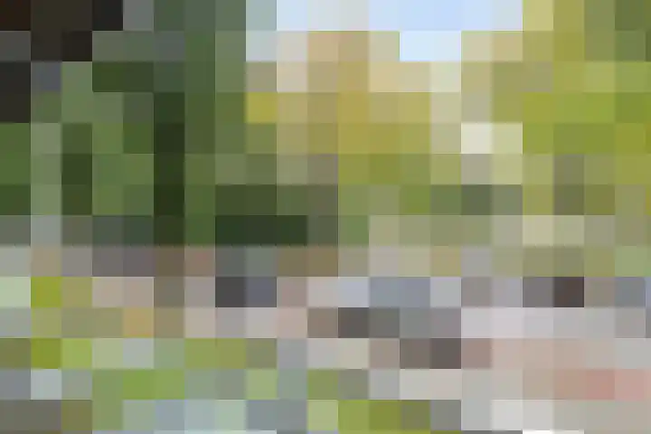 Laan van Blois 26 Beverwijk thumbnail 24